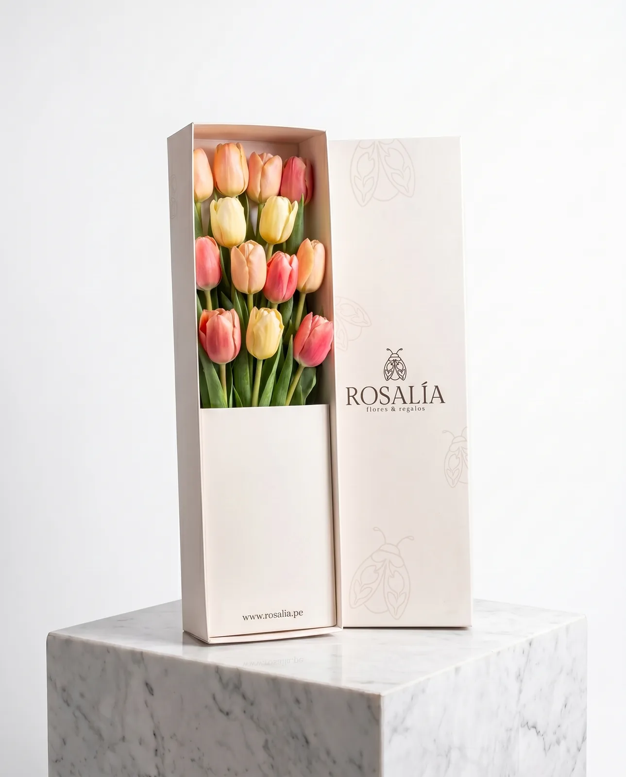 Caja 10 Tulipanes Mix