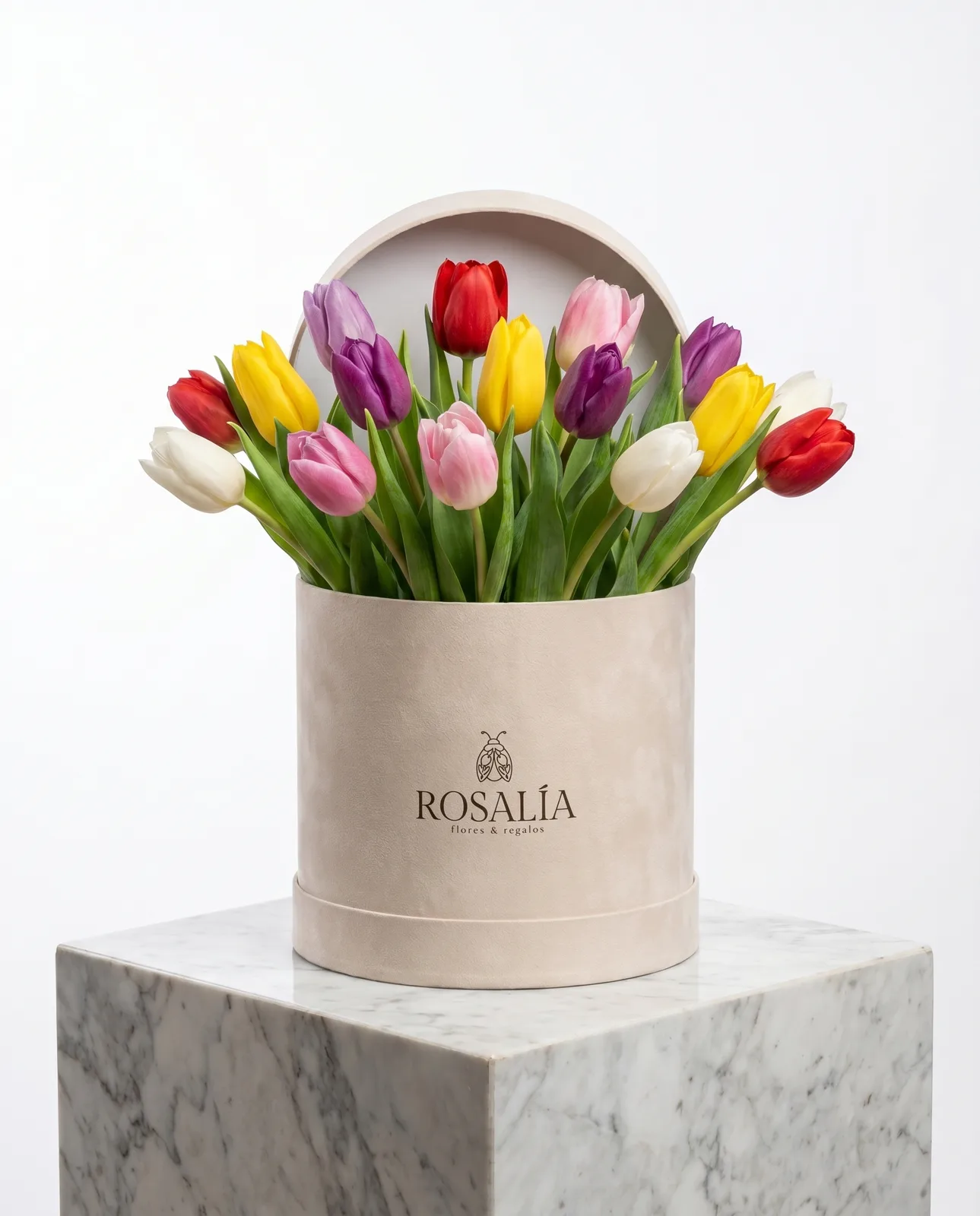 Sombrerera 10 Tulipanes Mix