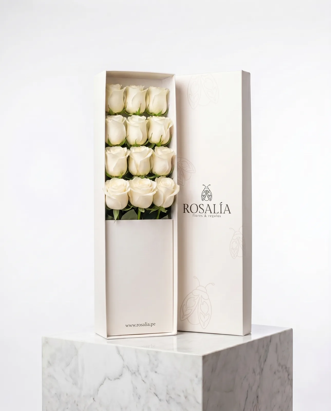 12 Rosas Blancas — Caja Blanca
