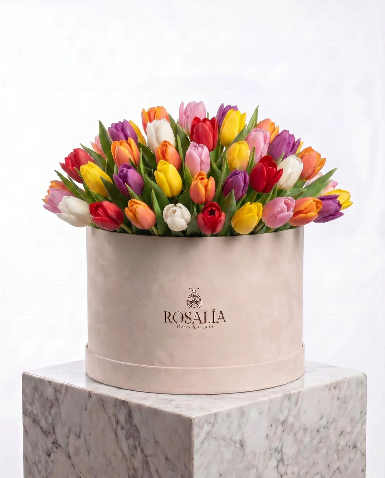 Sombrerera 20 Tulipanes Mix