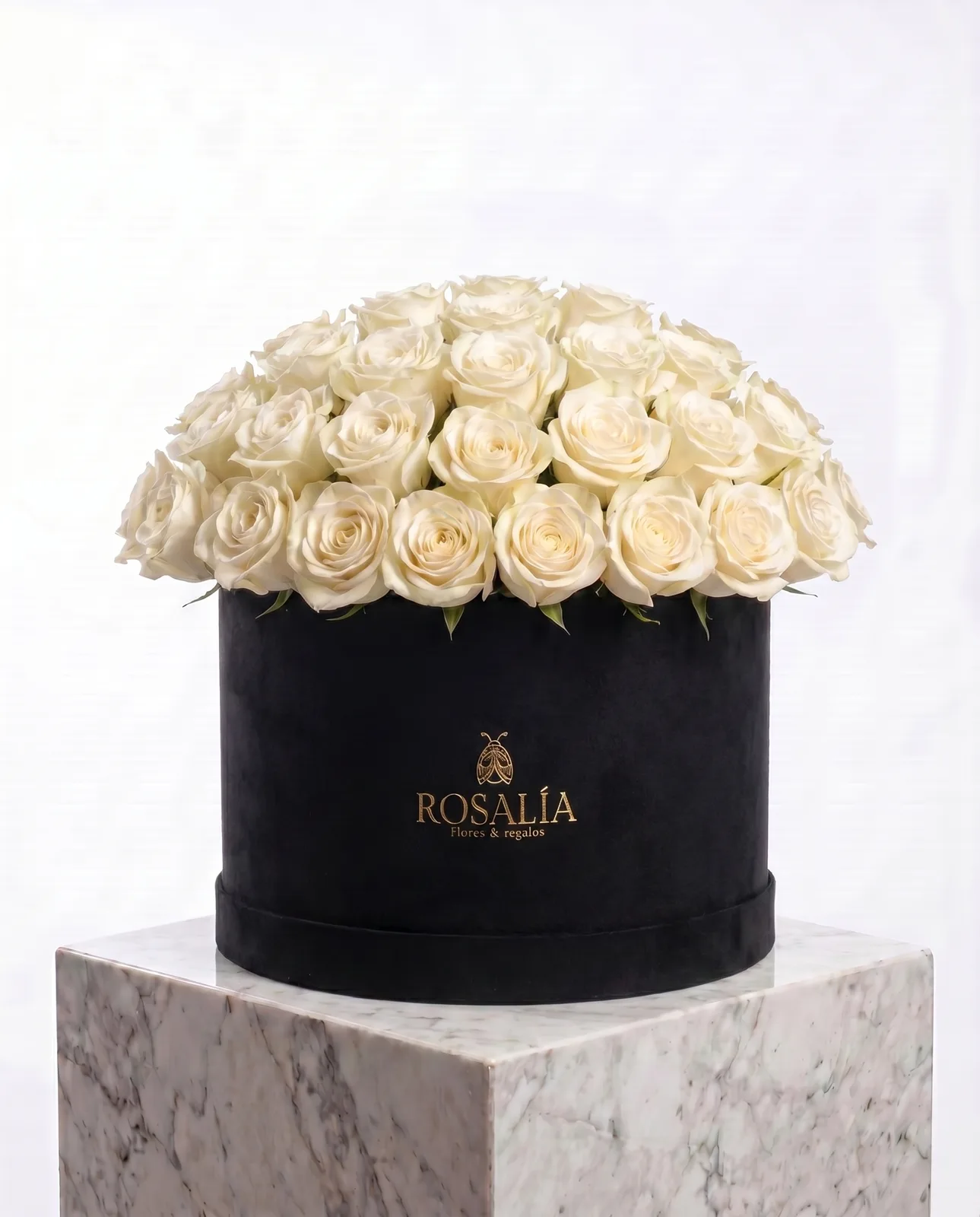 24 Rosas Blancas