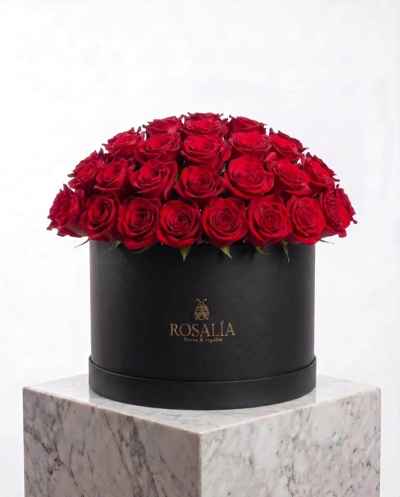 24 Rosas Rojas