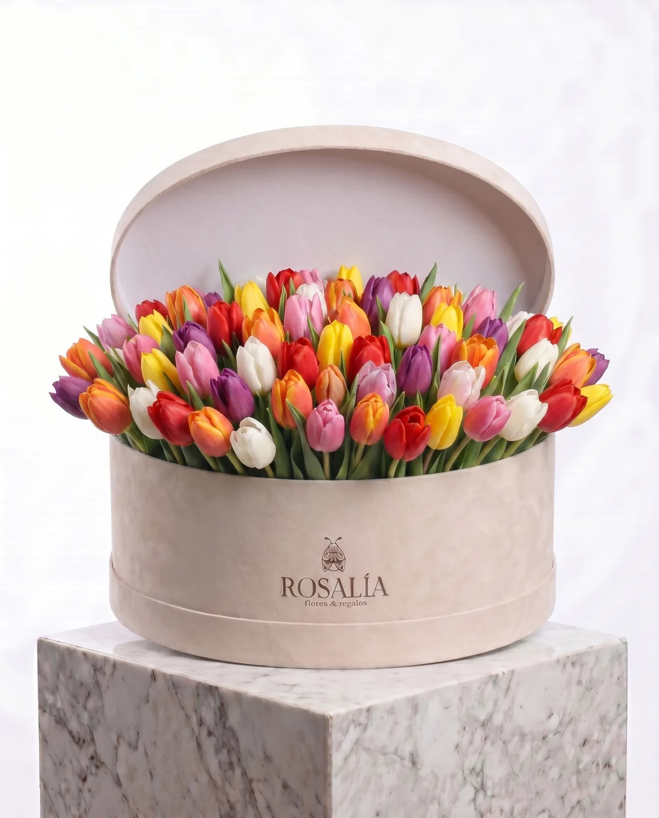 Sombrerera 40 Tulipanes Mix